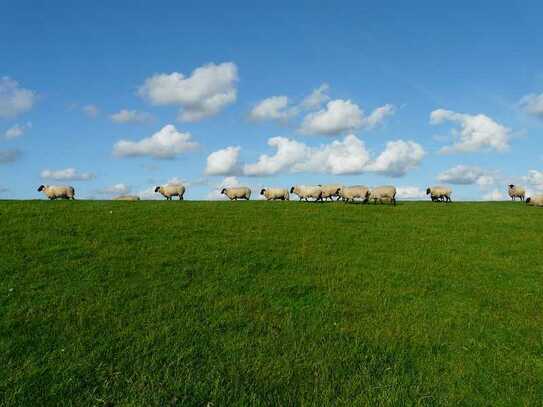 Für Nordsee-interessierte Investoren: Verpachtetes Nordsee Feriendomizil in Friedrichskoog