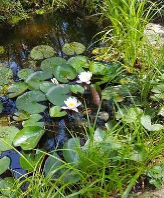 Wohlfühloase am Wolzinger See zu Verkaufen