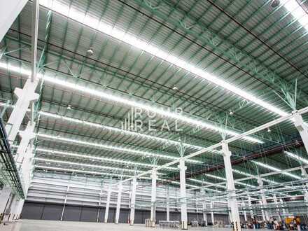 6.000 m² Produktion-/ Lagerfläche | Rampen/ Tore | komplett umzäuntes Gelände | RUHR REAL