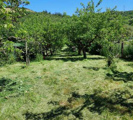 Streuobstwiese / Freizeitgelände mit kleinem Gartenhaus & Stromanschluss / umzäunt / Obstbäume