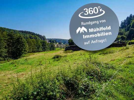 Großes Baugrundstück mit Wiese in sonniger Randlage!