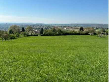 * GRÜNLAND WIESE IN ESSLINGEN: ca. 808 qm * Gewann Holzwiese * frei ab sofort! *