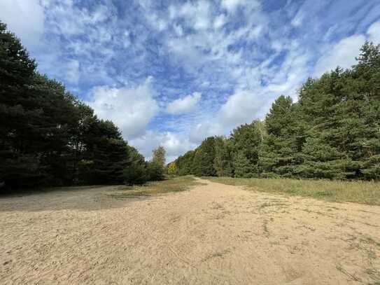 Waldflächen an der Berliner Stadtgrenze (Berliner Mauerstreifen) und im Landkreis OHV