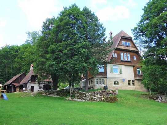 Historische Forstvilla mit gehobener Innenausstattung in Beuron