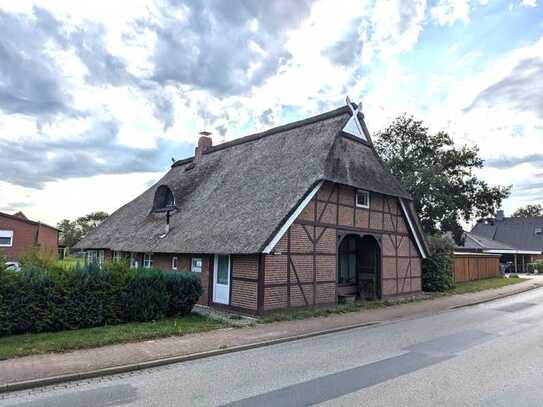 Historisches Reetdachhaus am Elbufer (vermietet)