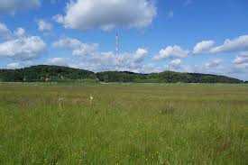 Leben auf dem Höhbeck - Wendland mit Ausblick