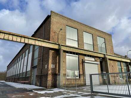 Geräumige Lagerhalle im Technopark Eberswalde, teilbar ab 240 m²