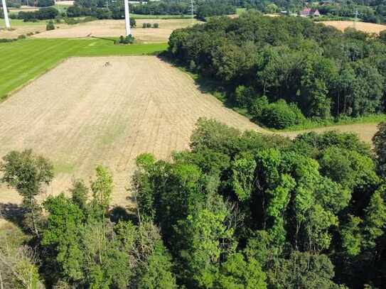 Grünland und Waldanteil im Außenbereich von Tecklenburg-Ledde!