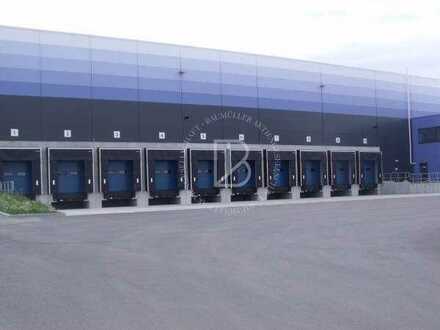 "BAUMÜLLER AG" - ca. 40.000 m² Logistik-NEUBAU - TOP Lage / Nähe A2, A40, A42 - Rampe