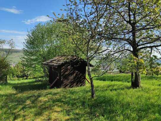 Gartengrundstück in Aussichtslage von Remshalden