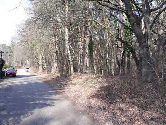 Idyllisches Wochenendgrundstück am Waldesrand