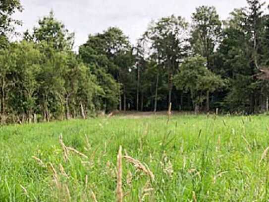 Traumhaftes Baugrundstück in Münchehagen / Steinhuder Meer