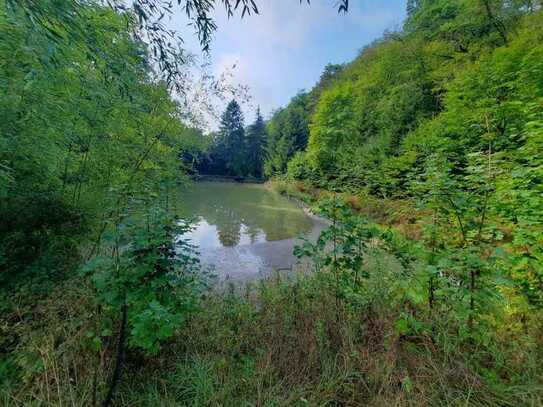 Ruheoase Wispertal / Große Teichanlage mit exklusivem Wasserrecht / Steinhaus / Baumbestand