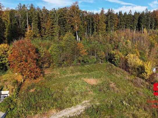 Baugrundstück mit Bergblick am Waldrand