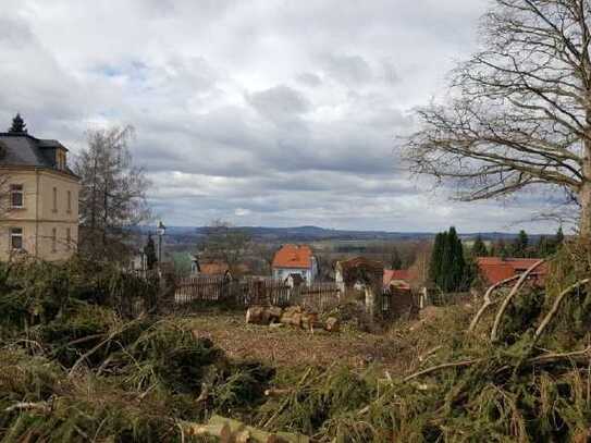 Ehemalige Parkanlage für 1-2 kleinere Mehrfamilienhäuser