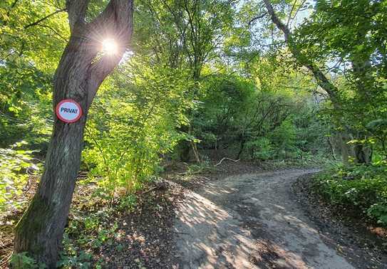 ***Einmalige Gelegenheit in Bad Vilbel***