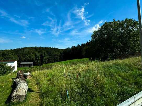 Unverbaubarer Blick ins Grüne! Traumgrundstück in Wenzenbach