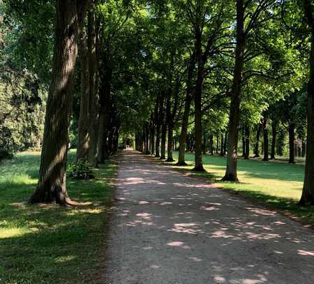 Projekt in Planung * Pension mit Gasthaus im Spreewald *