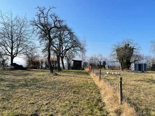 Reines Freizeitgrundstück mit Bodenseeblick - nicht bebaubar