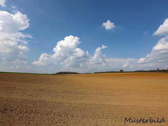 Verkaufe 5,3 ha Ackerland südlich von Wolfshagen