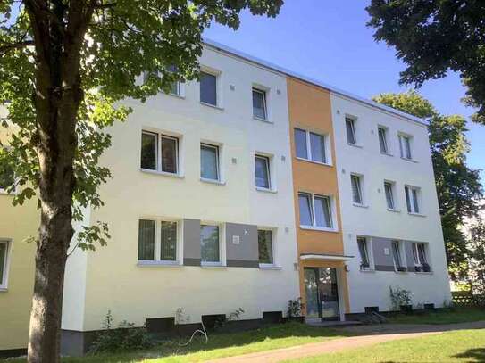 Endlich Zuhause: individuelle 2-Zimmer-Wohnung im Erdgeschoss mit Dusche und Balkon.