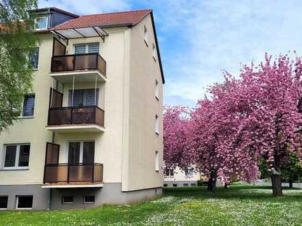 3 Raum-Wohnung mit Balkon im Erdgeschoss bezugsfertig