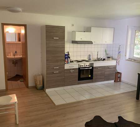 Vollständig renovierte 1-Zimmer-Wohnung mit Balkon und EBK in Calw (Kreis)