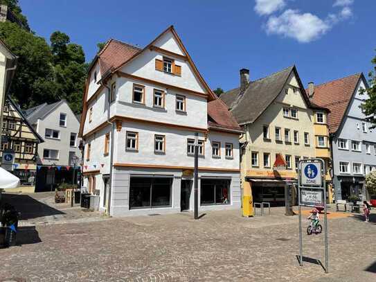 3ZKB-Wohntraum f. Individualisten: sanierter historischer Altbau, Citylage, Schloßblick