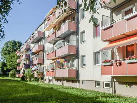 Das urbane Leben im schönen Flemminggebiet genießen