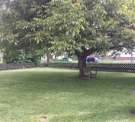 4-Zimmer-Terrassenwohnung mit EBK in Schlüchtern