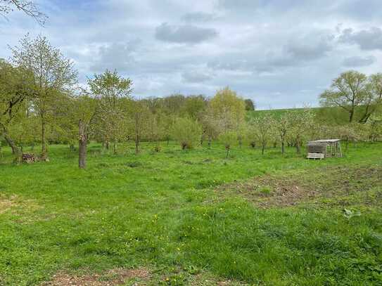 Gartenidylle nahe der Ostsee - Nette, grüne Flächen in Stellshagen