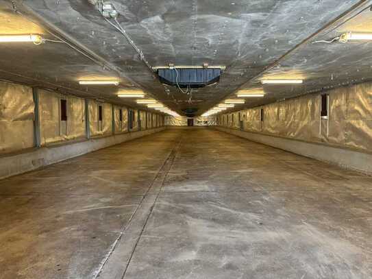 PROVISIONSFREI Lagerhalle zu vermieten mit 670m2
