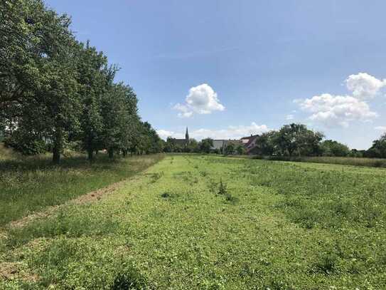 Mischgebiet Schwäbische Toskana - letztes Grundstück