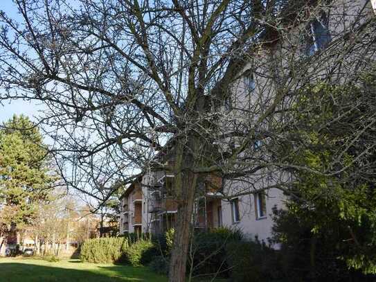 Wohlfühlwohnung vermietet - Nahe Marienfelder Allee - 
ruhig + hell, Wohnlage mit viel Grünanlagen!