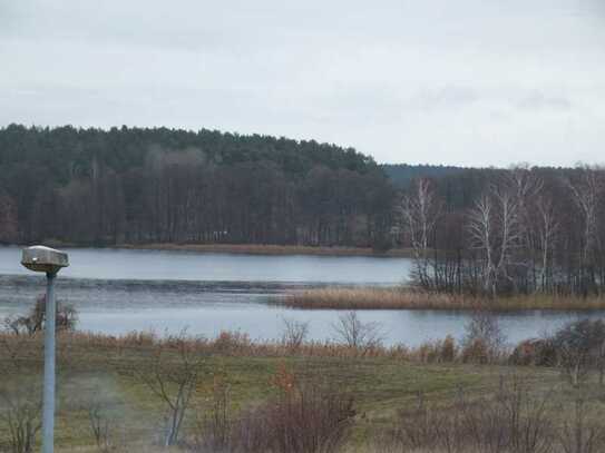 Solides Haus mit viel Nebengelass direkt am Müritz Nationalpark zu verkaufen!!