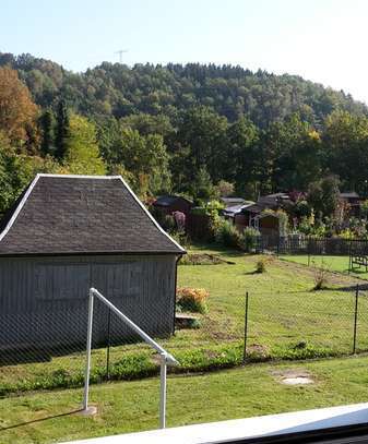 Modernisierte 2-Raum-Erdgeschosswohnung mit Einbauküche in Zschopau