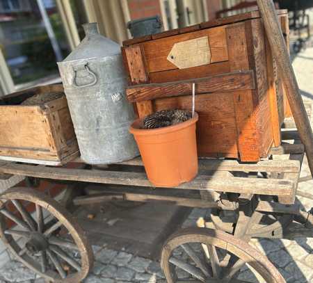 BAUGRUNDSTÜCK IN SEHR RUHIGER LAGE- OT MITTELHAUSEN