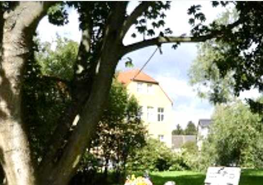 2-Zimmer-Wohnung auf Parkgrundstück, Schloss- und Seeblick, erstes OG ,in Dessau-Roßlau Großkühnau