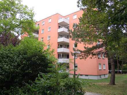 3 Zimmer Wohnung ganz oben mit Blick ins Grüne
