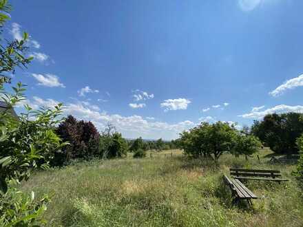 Barrierefrei, 4 Zimmer mit großem Garten im Erdgeschoss (Wohnung Nr. 5)