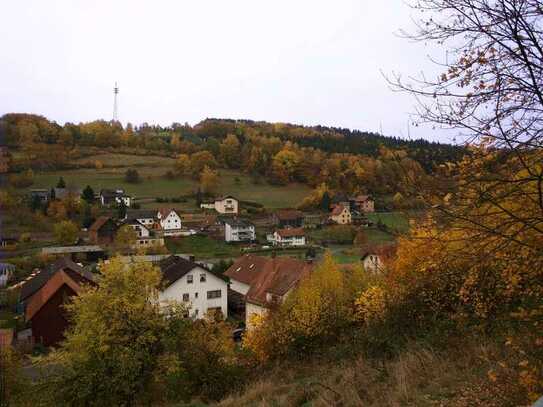 Bau- oder Freizeitgrundstück Nähe Bad Orb u. Schöllkrippen/Spessart!