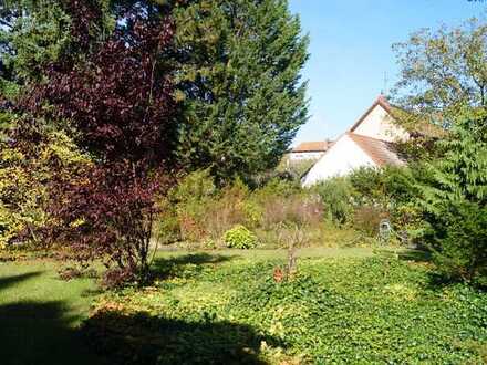 4 Baugrundstücke in idyllischer Stadtrandlage