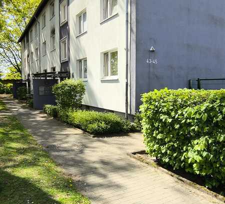 Helle 3-Zimmer-Wohnung in Sennestadt - neue Einbauküche