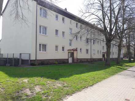 Sonnige 2 2/2 Raum Wohnung