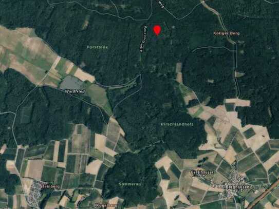 Waldfläche nähe Aiglsbach und Berghausen