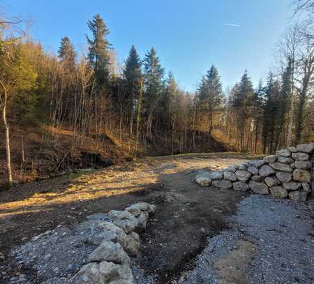 Erstbezug! 2-Zimmer-Einliegerwohnung mit Einbauküche, eigener Terasse und 200qm Garten am Waldrand.