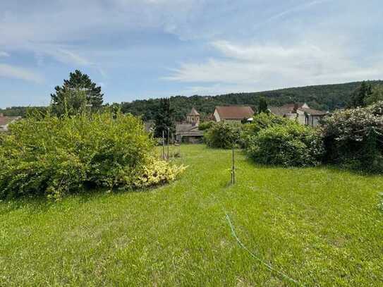 Viel Grün in Bad Dürkheim-Seebach - Einfamilienhaus mit Einliegerwohnung und tollem Grundstück