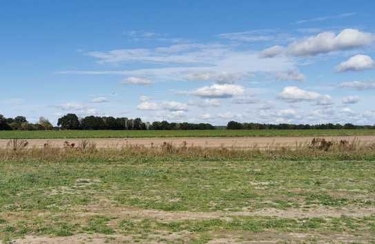 Naturnahes Baugrundstück im Neubaugebiet Weyhausen - Ideale Anbindung nach Wolfsburg!