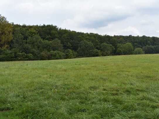 Rund 2,35ha landw. Fläche in guter Erreichbarkeit-Preis VB