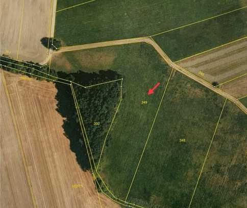 Landwirtschaftliche Fläche in Inkofen/ Haag a. d. Amper